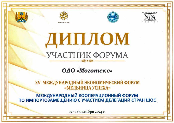 XV Международный экономический форум «Мельница успеха» - 2024